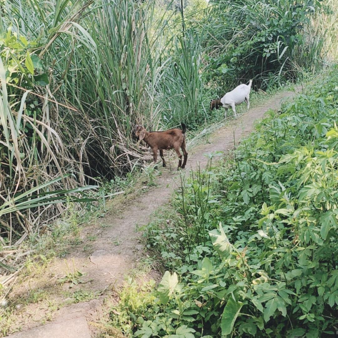 幸运＠中人૮ ºﻌºა站岗