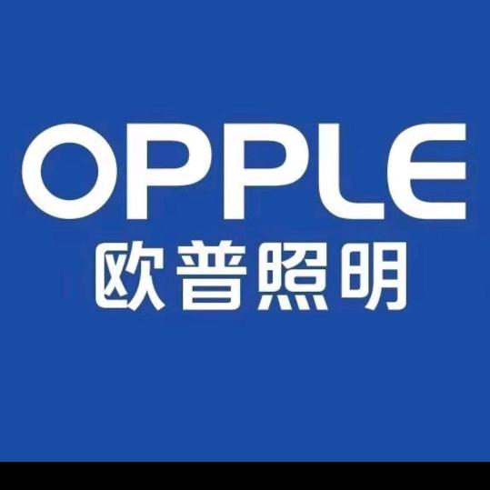 单县人在西安。专业吊顶