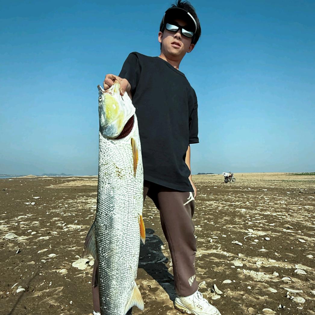 虫王路亚-🎣 戴迪（小林）