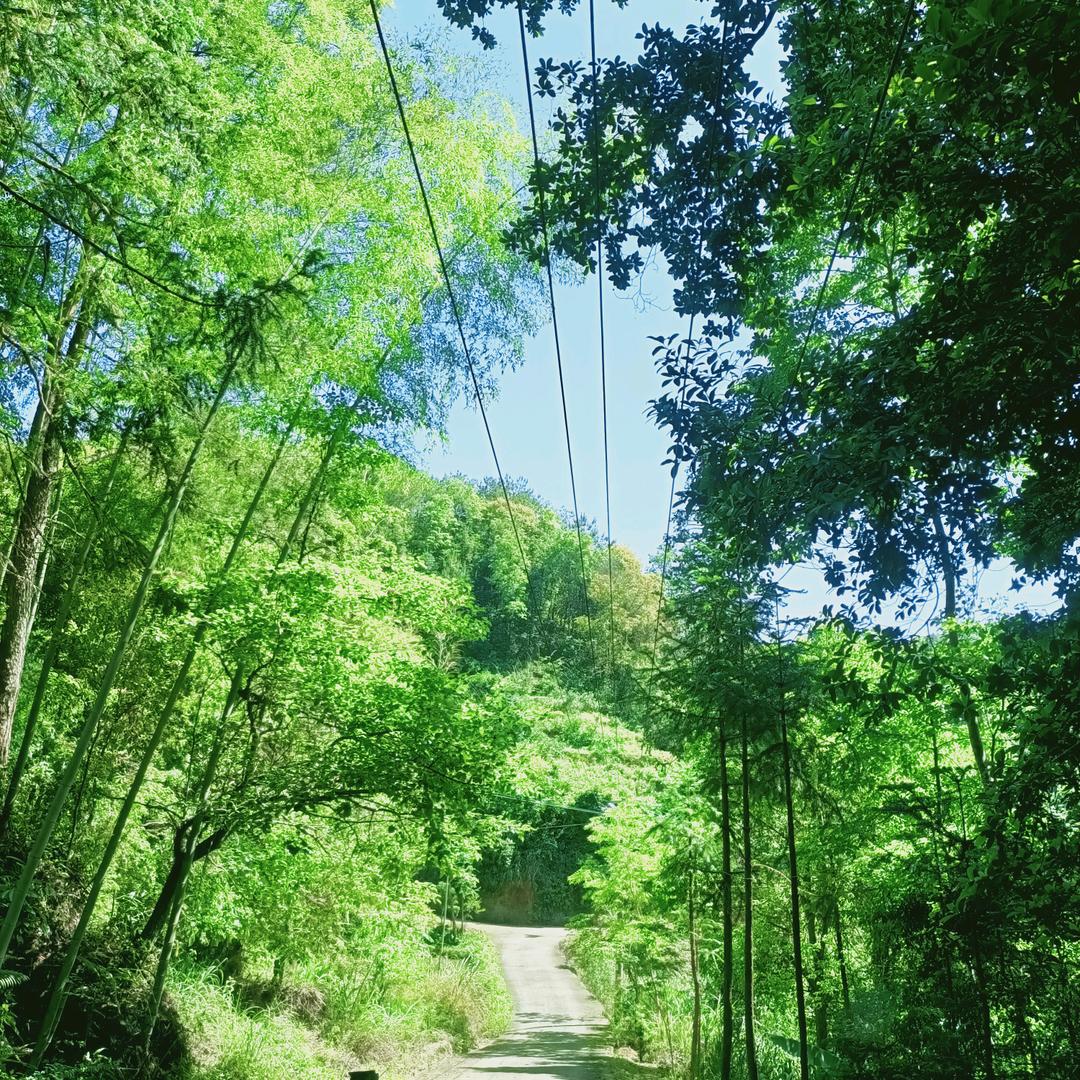 《丹山不寻常》