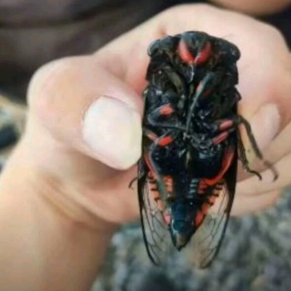 没钱没势没实力妄想一夜成为千万富豪