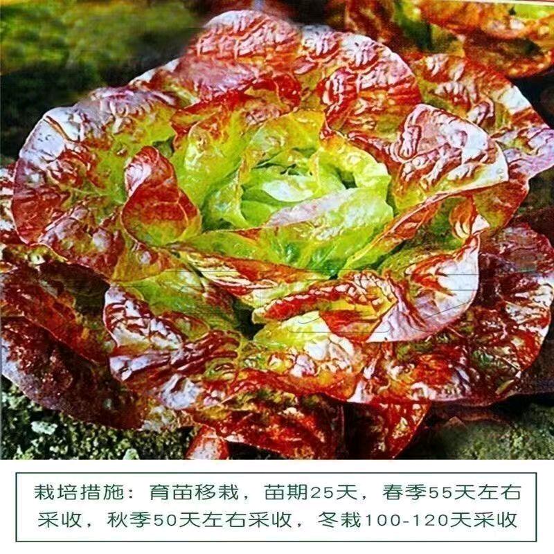 暖风
