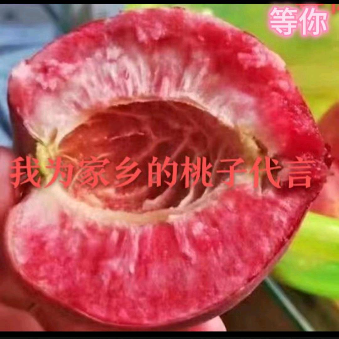 紅国际农副产品