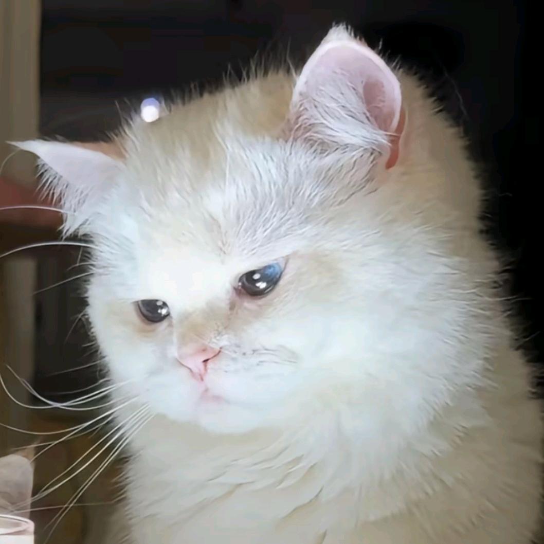 橘子糖