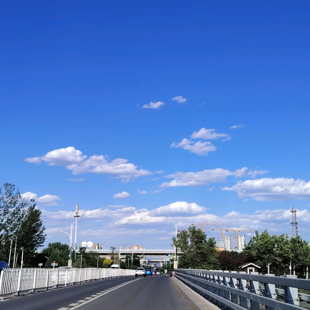 骑友此李