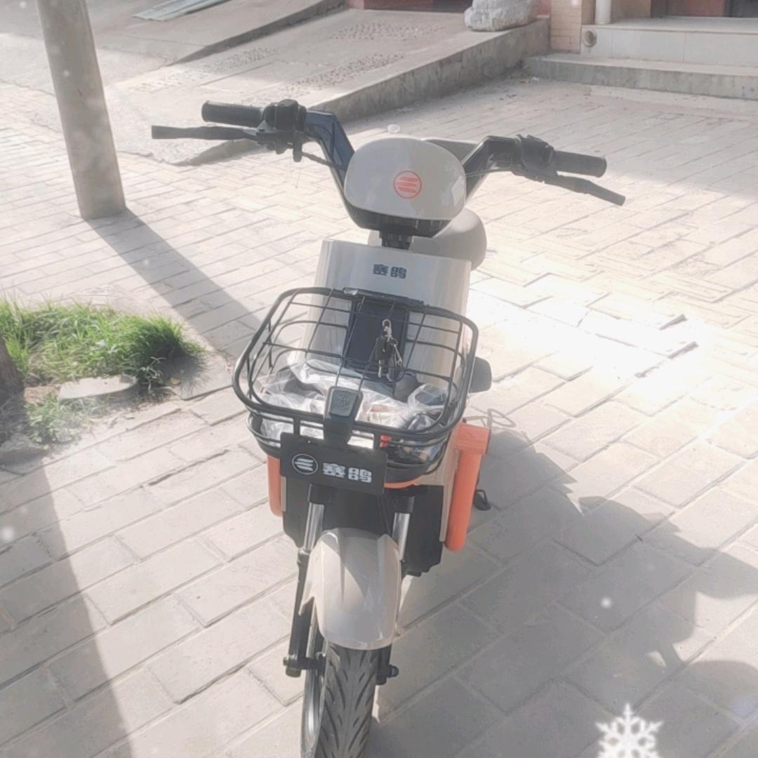 乾县赛鸽电动车