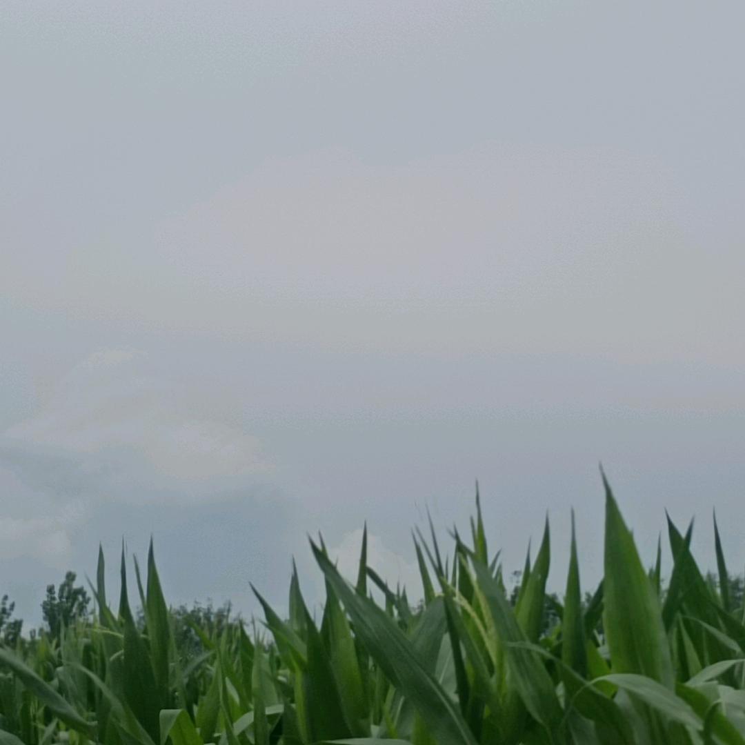 淮宁小哥