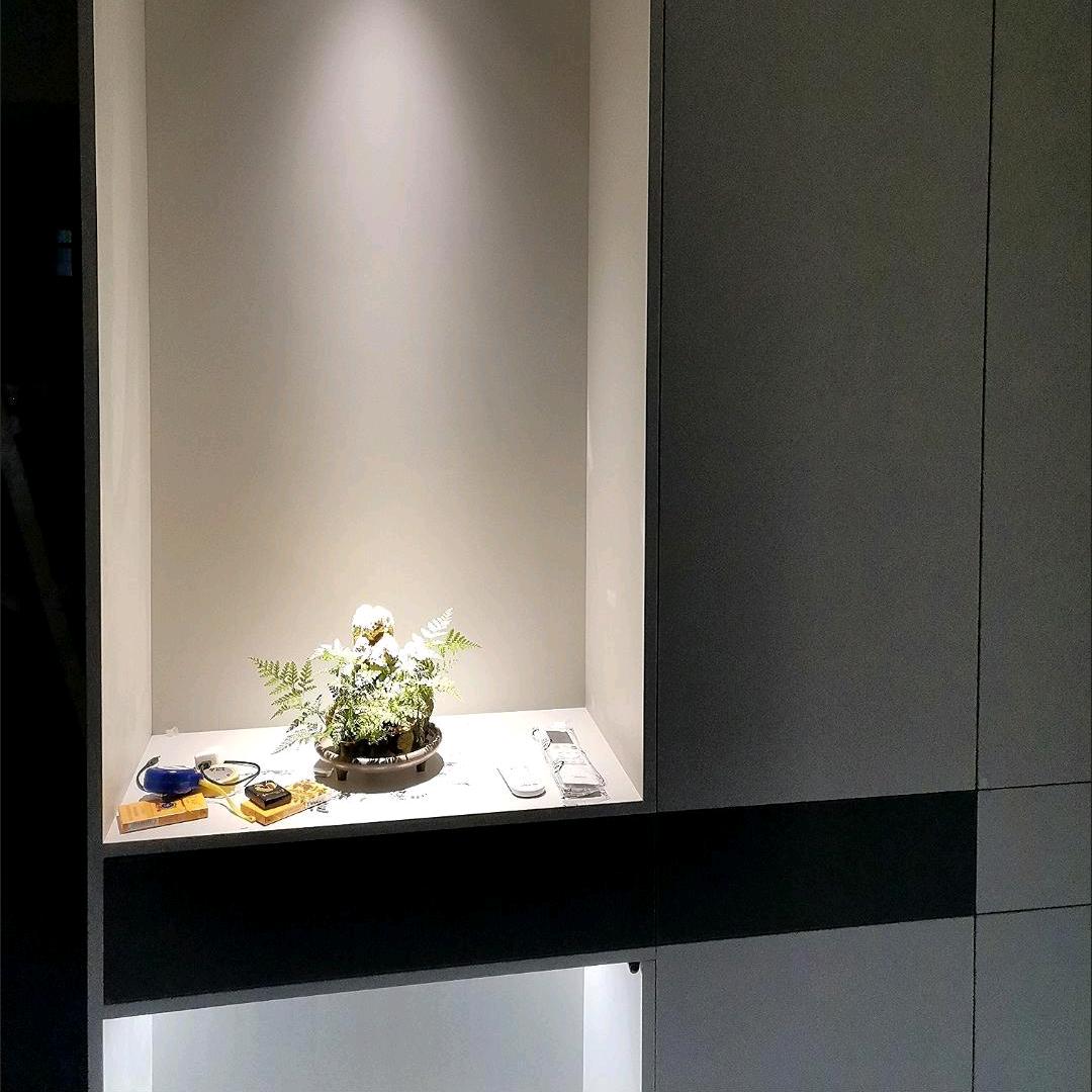 爱折腾的小杨
