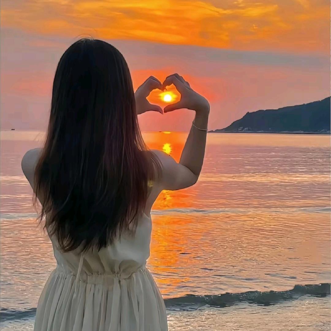 🐬✨无芯