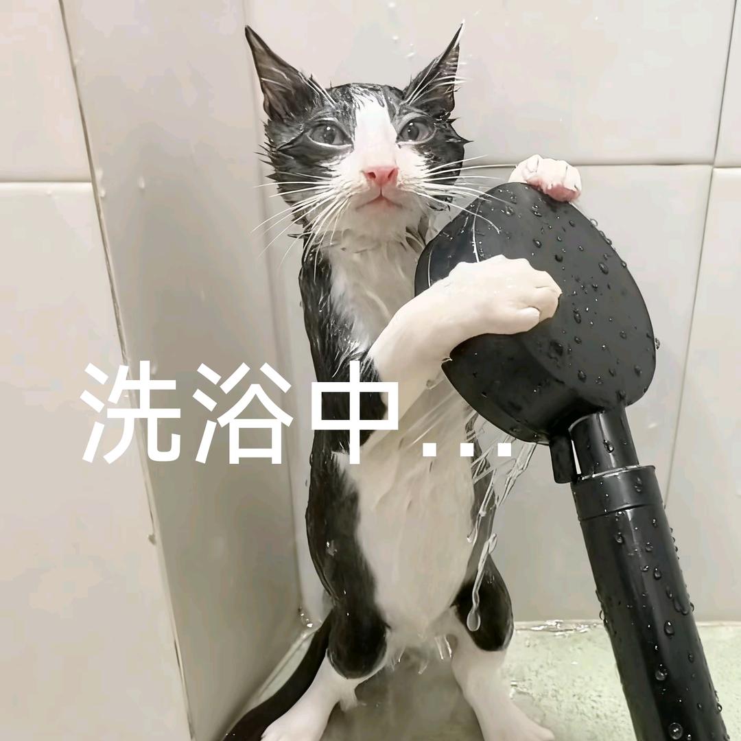 忧郁总裁兜不住屎被护工吊打