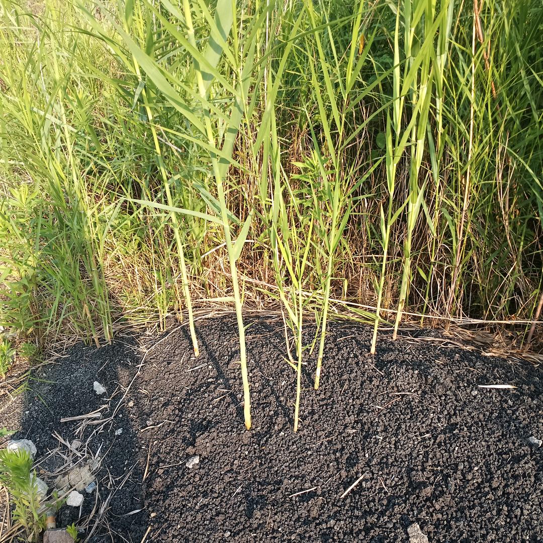 杞人忧天