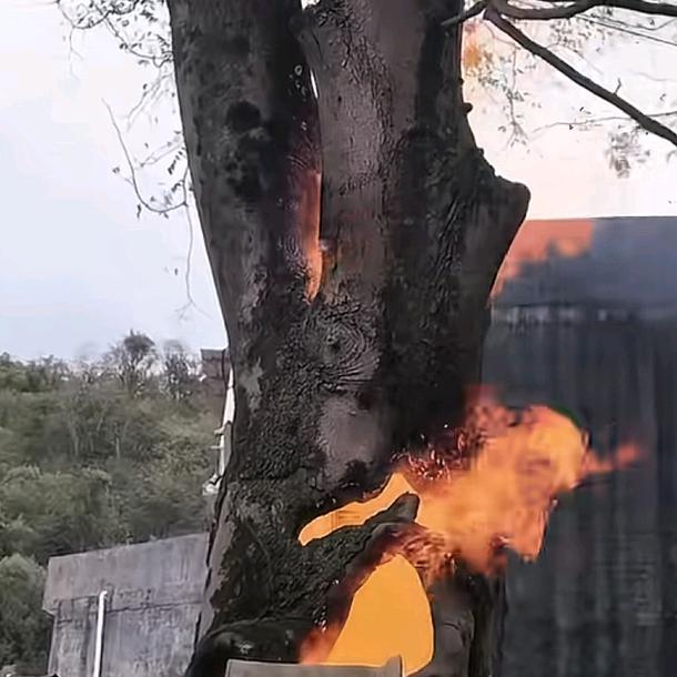 只有自己努力其他都是聊斋