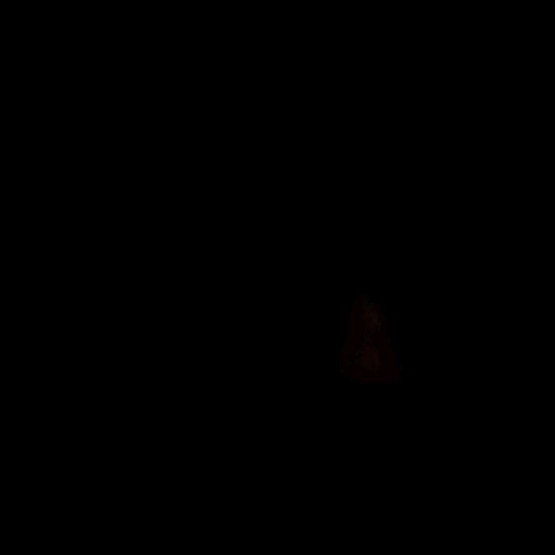 顺其自然，