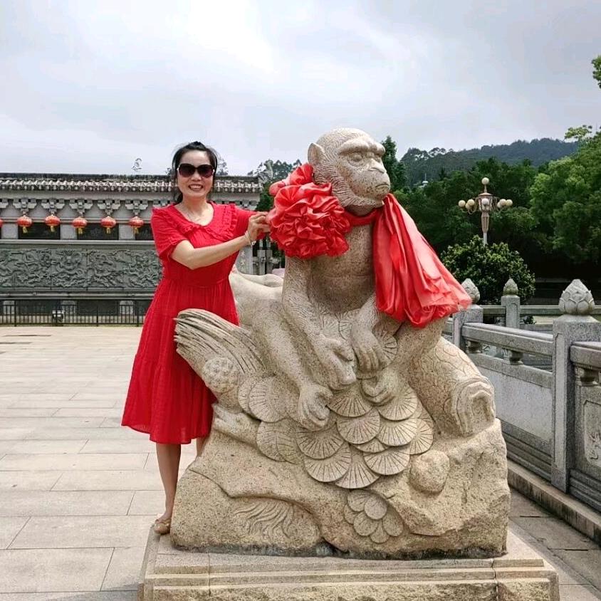 佳彩葉(手机摄影)