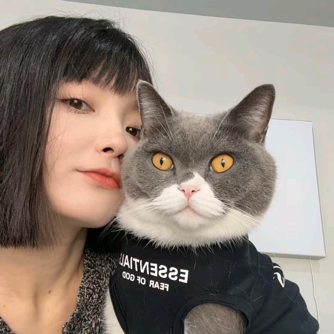小猫吃辣条