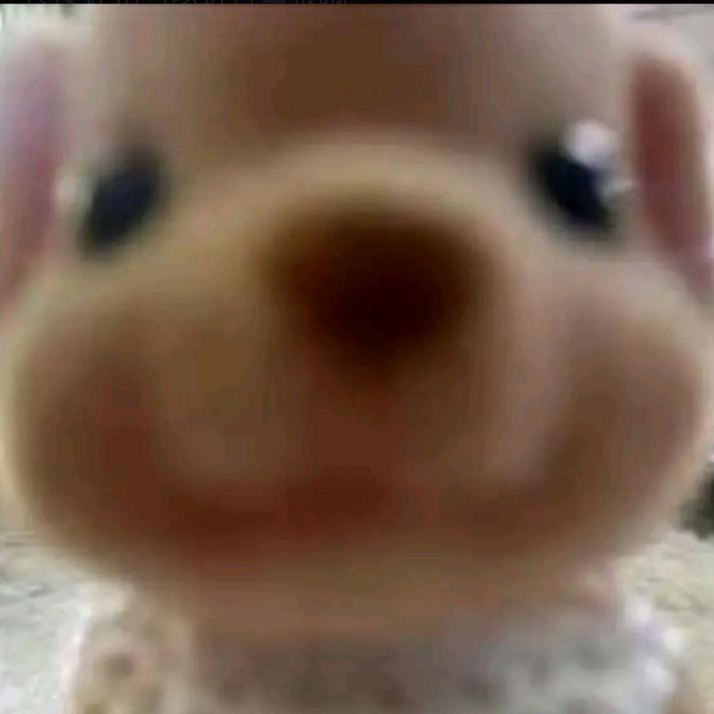 肥鼠