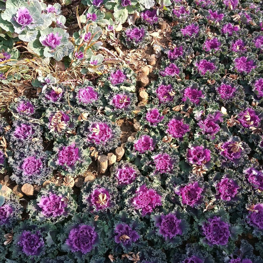 人生输在起跑线上