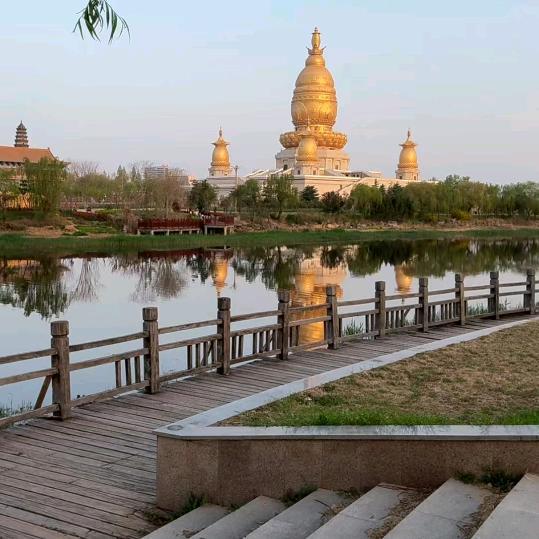 心随律动 忆人生