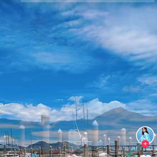 卿芹