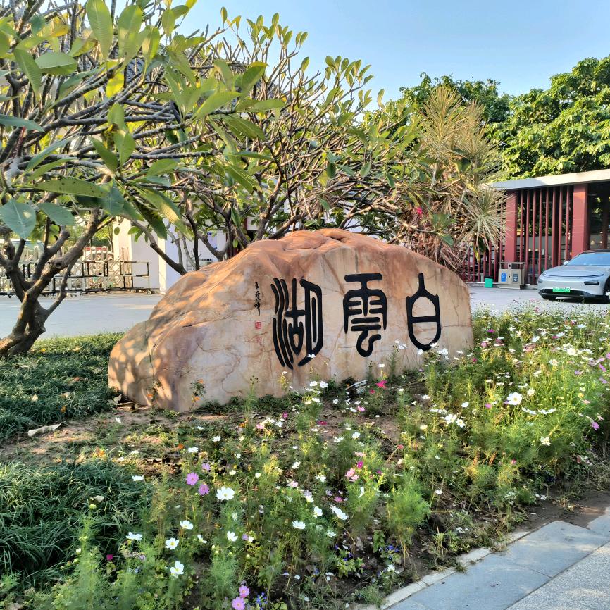 小时候
