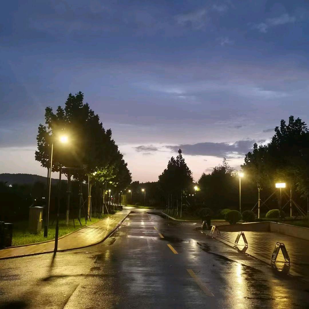 阿里嘎多暖羊羊桑