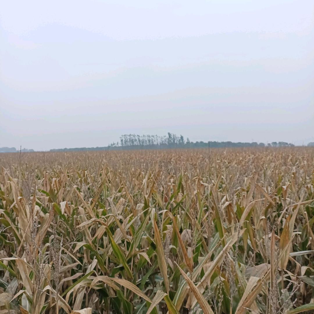 老班长刻章印章店