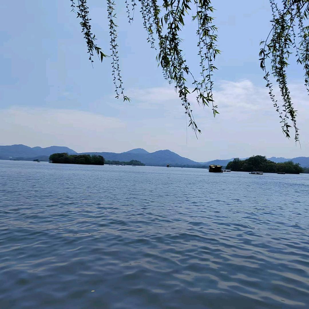 我爱吃饺子皮