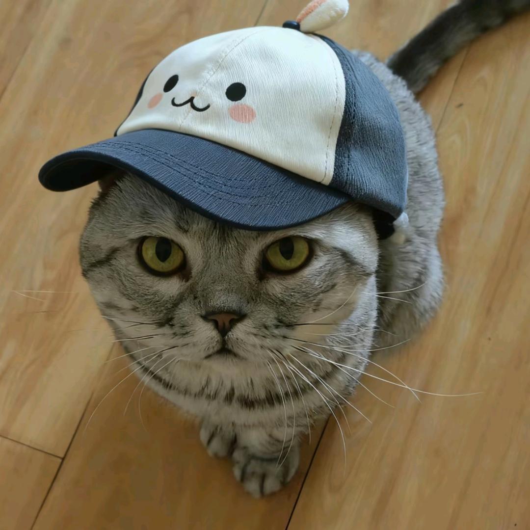 周末🍒
