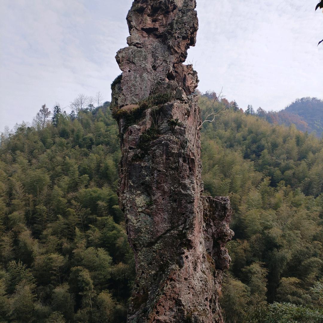 认知1128