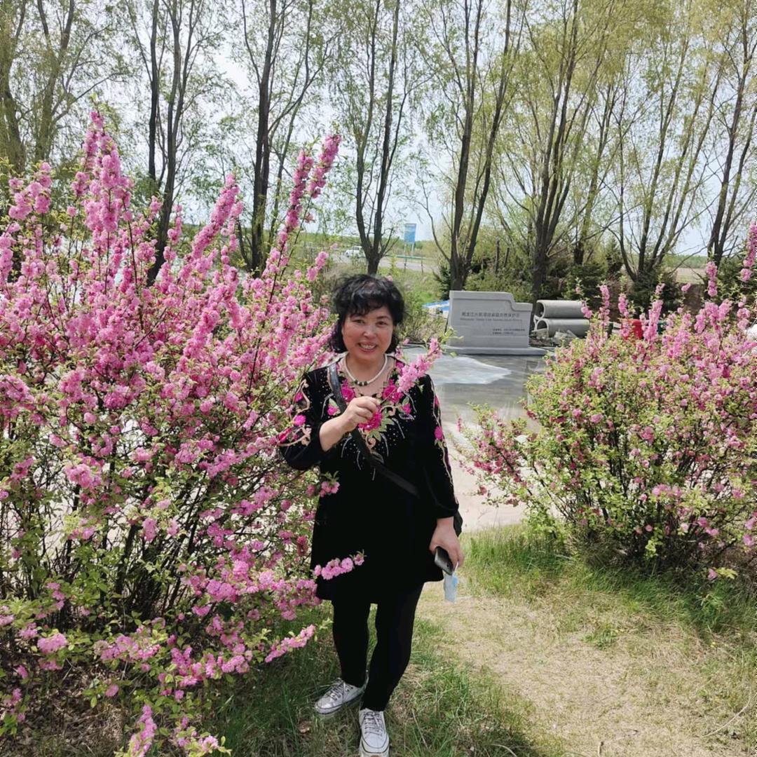 伙伴