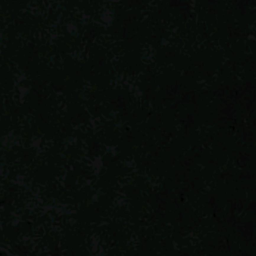 289838968