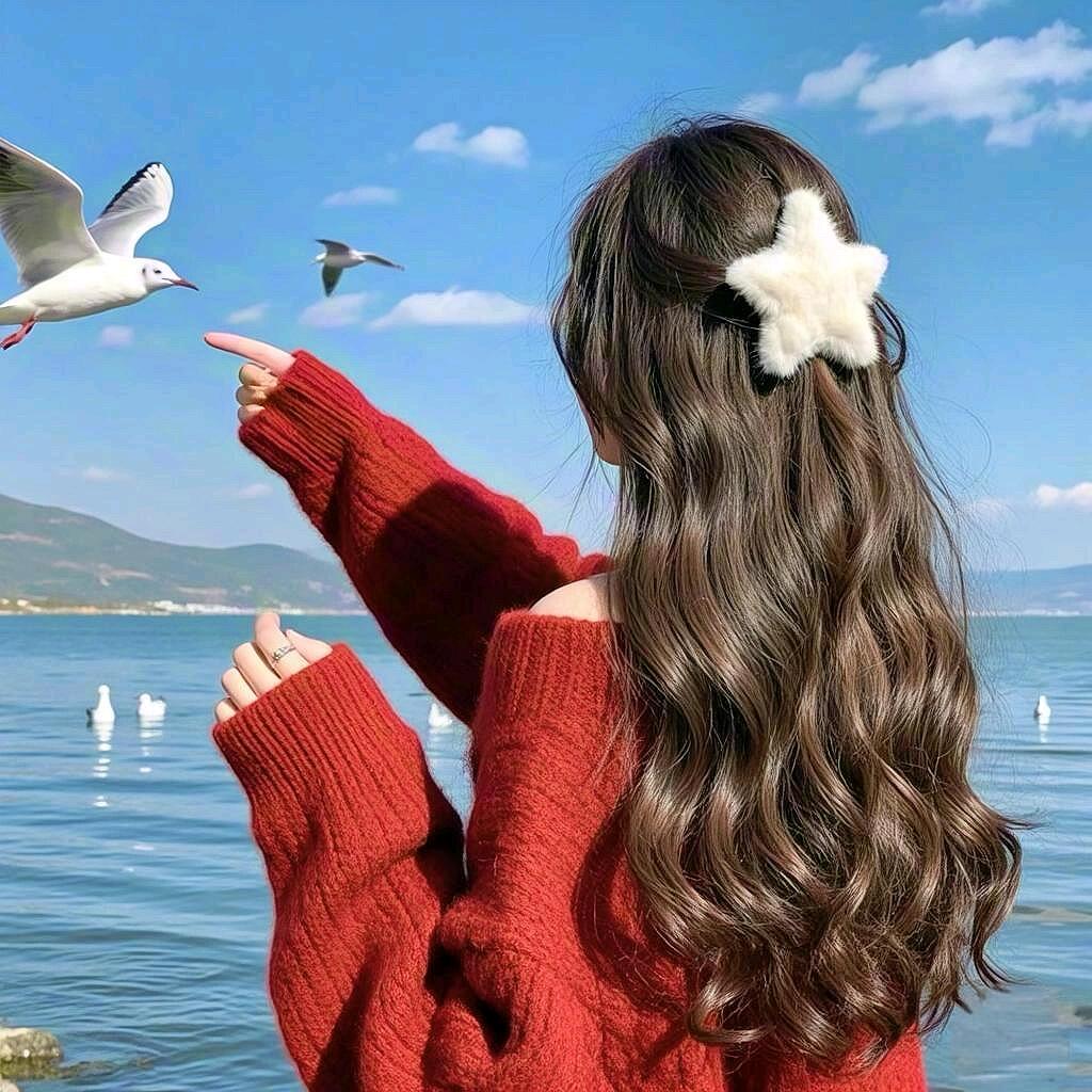 海宸帧选