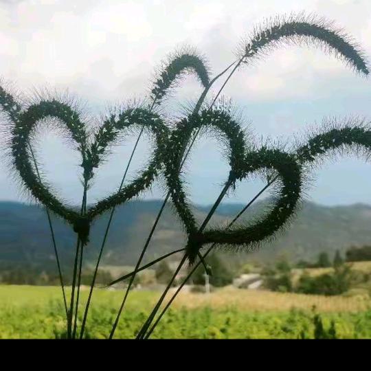 我是一个山里穷人，