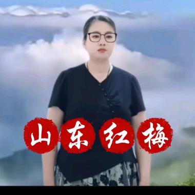 山东红梅