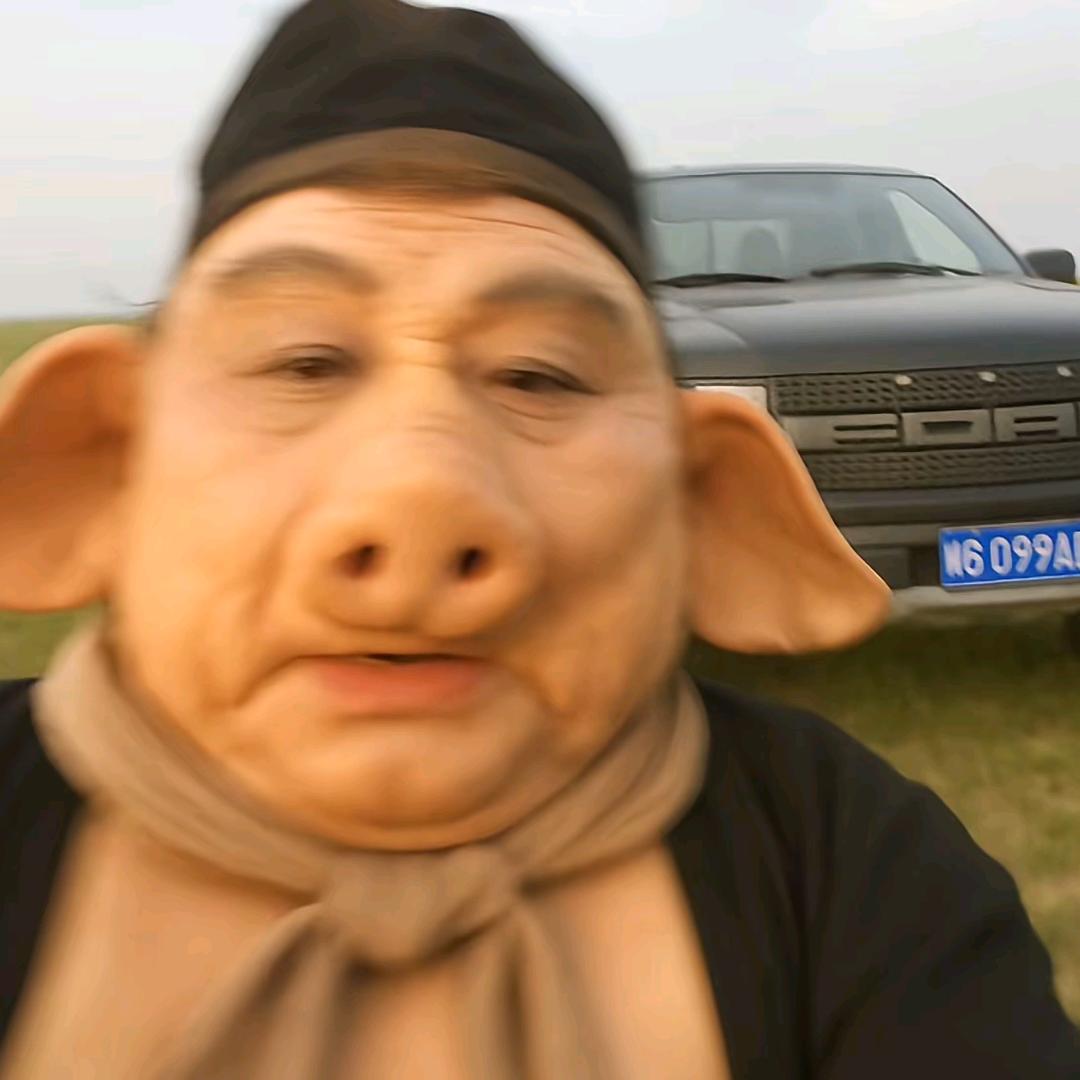 八戒之养鹅日常