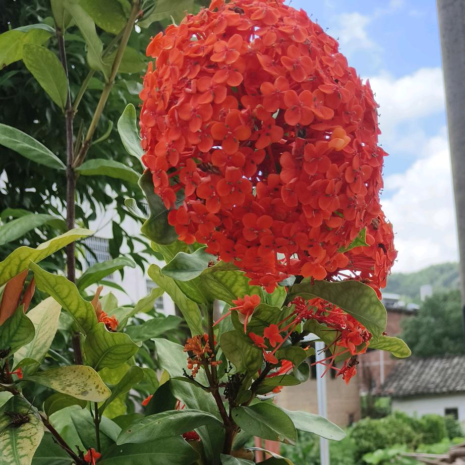 ༗࿆༣鱼҉҉҈悦我心҉҉҈࿐