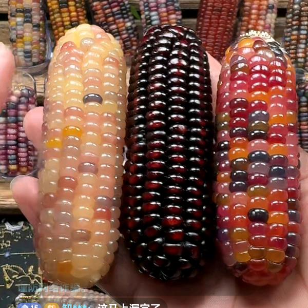 苞里有米