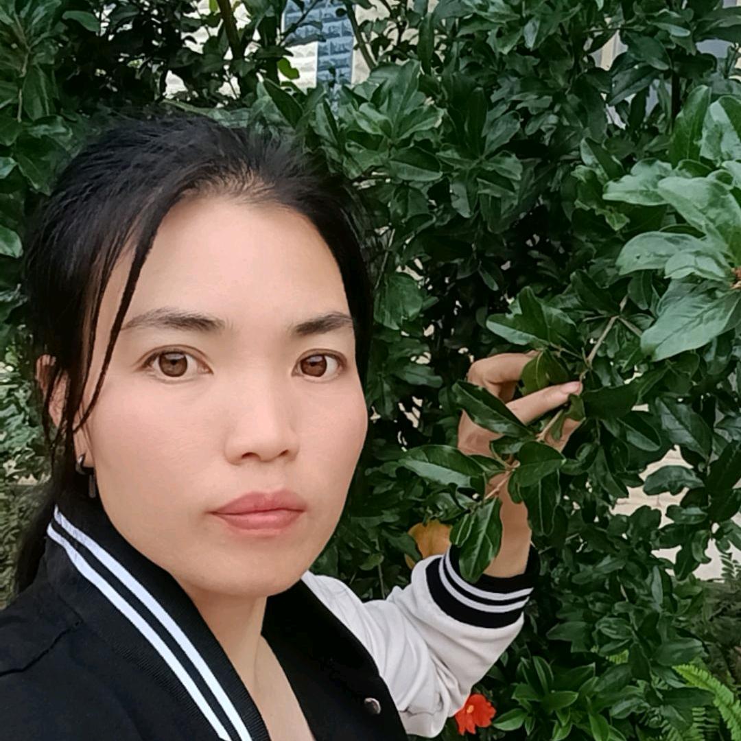小燕子，不定时开播