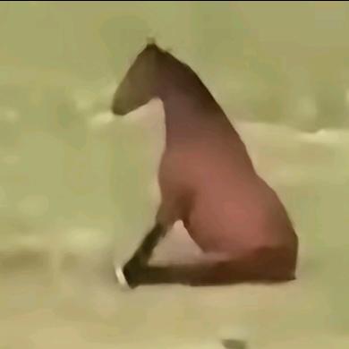 铮绝.