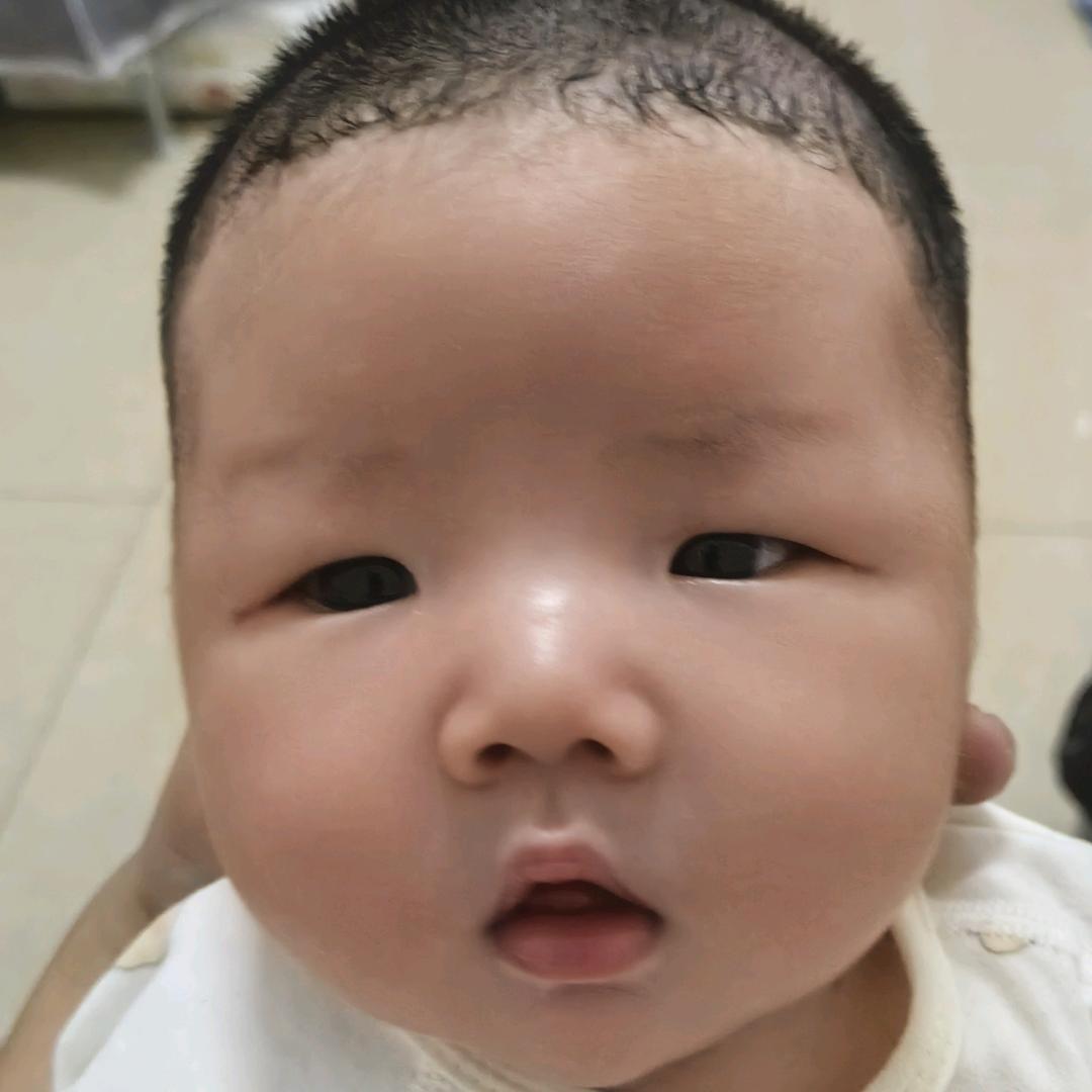 豫见贝贝