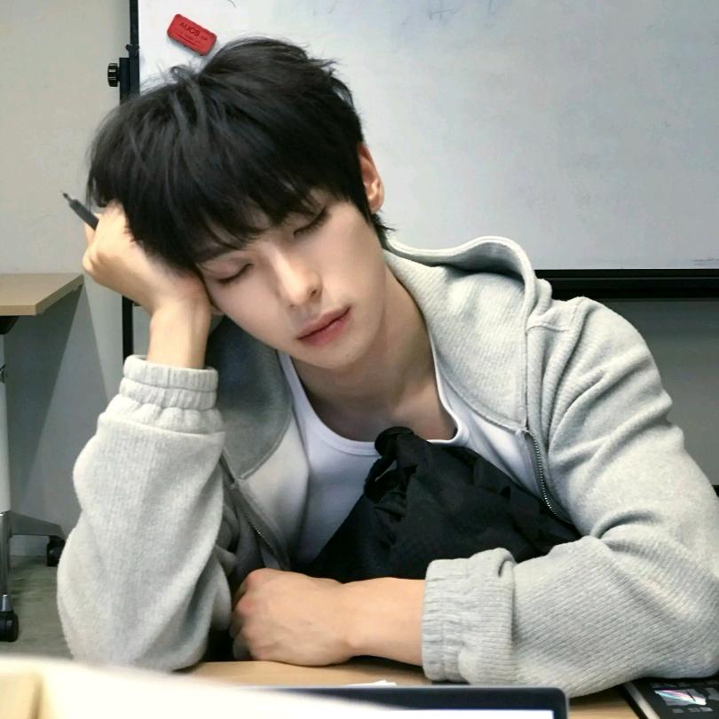 阿黎就是小爱莲.