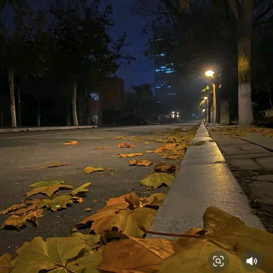 এ᭄爱财🎋爱己ღᩚ᭄