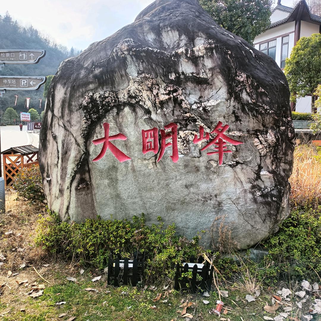 笑对朝暮