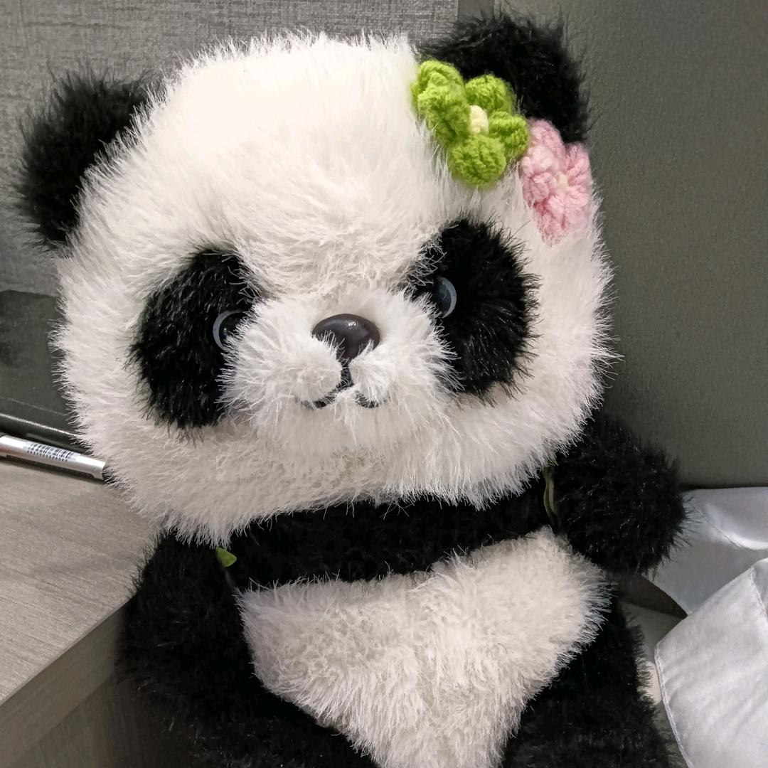 独善其身