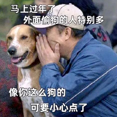 旺财哥