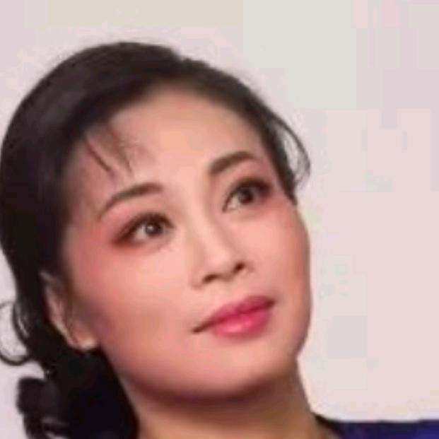 黄梅戏董海琴