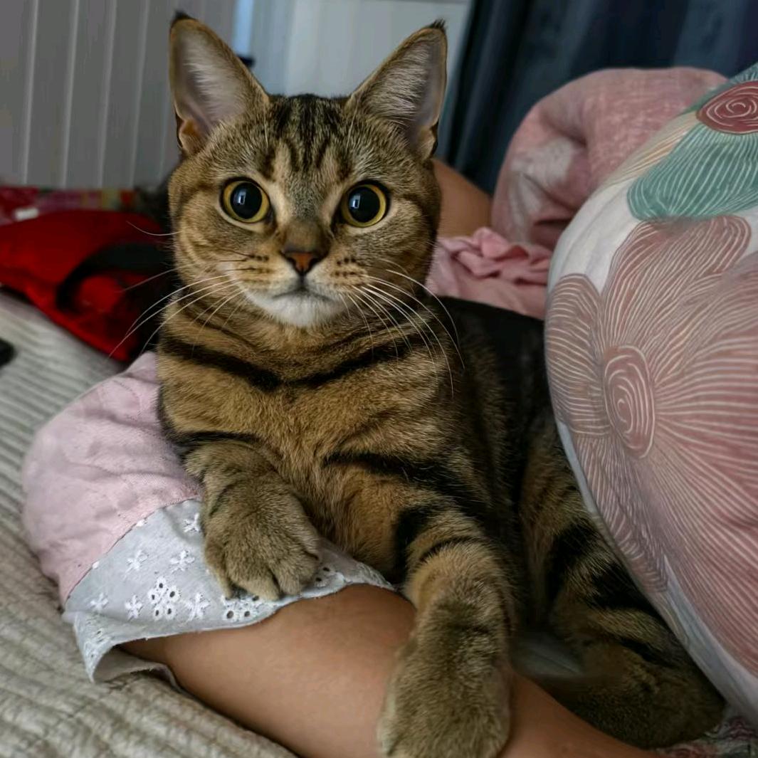 金豆♥小乖