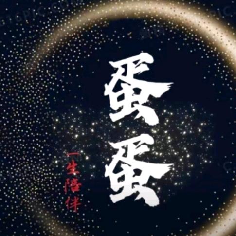 王蛋蛋