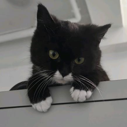 AA王老五空调维修