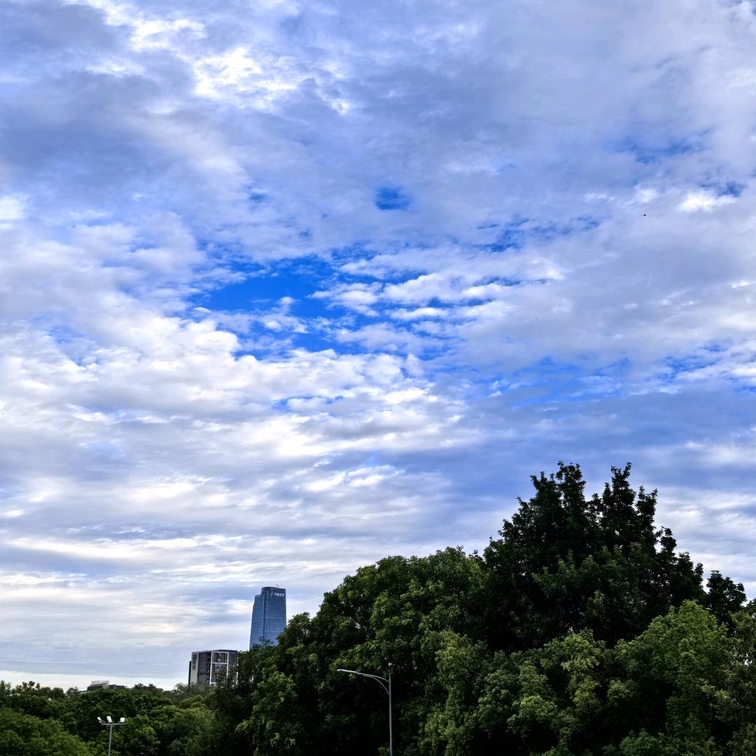 💞糖糖🍃ʸᶻᶜ